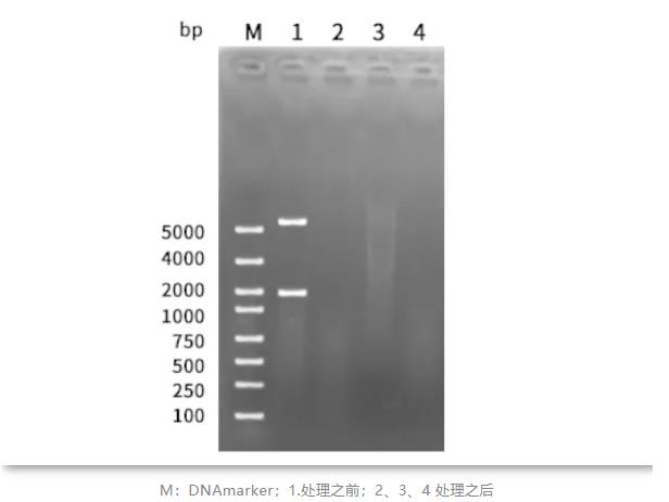 拜拜，实验室污染