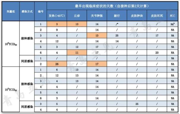 要闻：基因I型非洲猪瘟病毒入侵我国，青岛立见助力精准诊断