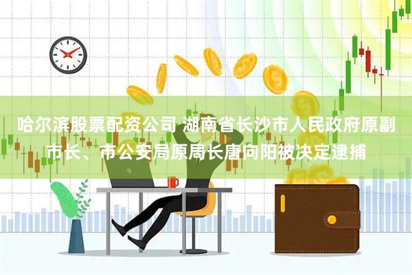 哈尔滨股票配资公司 湖南省长沙市人民政府原副市长、市公安局原局长唐向阳被决定逮捕