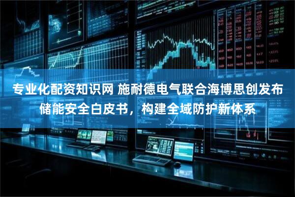 专业化配资知识网 施耐德电气联合海博思创发布储能安全白皮书，构建全域防护新体系