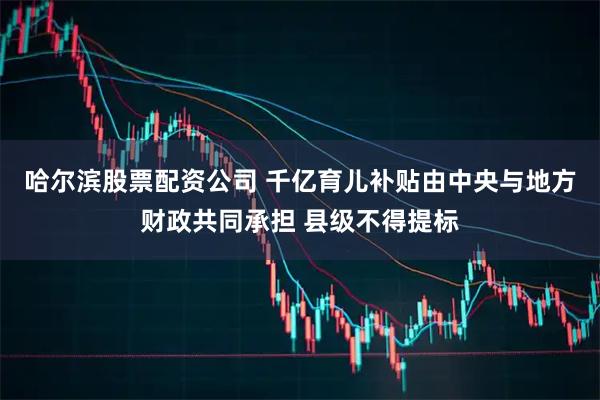哈尔滨股票配资公司 千亿育儿补贴由中央与地方财政共同承担 县级不得提标