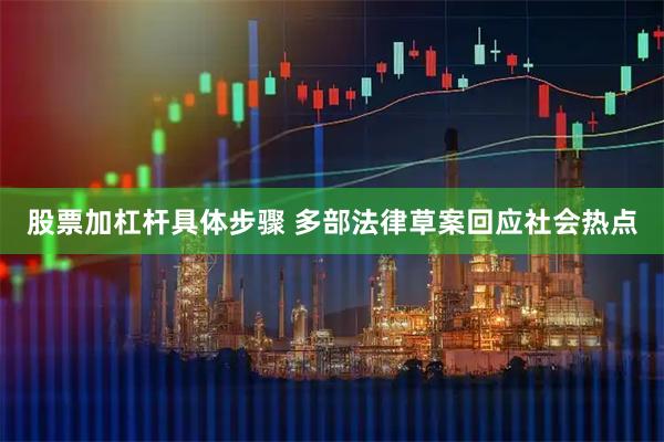 股票加杠杆具体步骤 多部法律草案回应社会热点